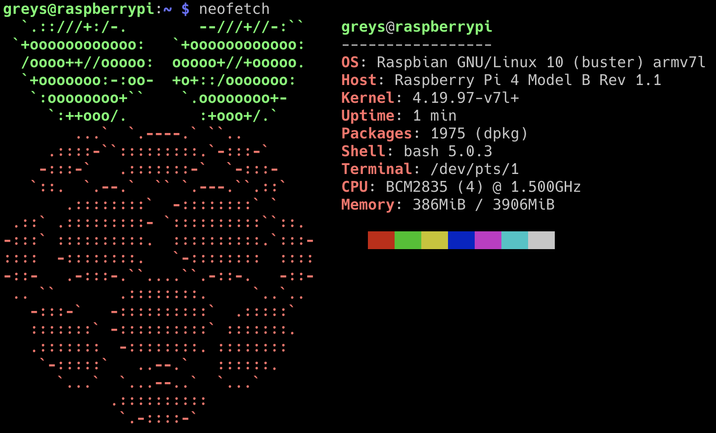neofetch - Raspbian Buster - Rapsbian Pi 4